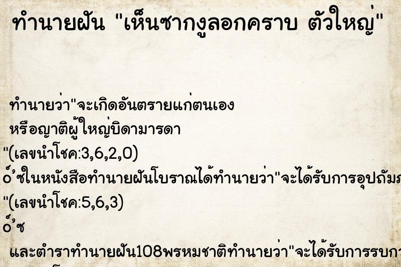 ทำนายฝันทำนายฝันเห็นซากงูลอกคราบตัวใหญ่